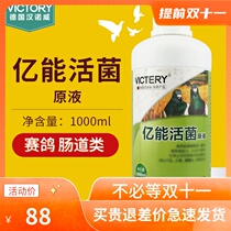 Hannover pigeon medicine Yineng live bacteria original liquid racing pigeon intestinal indigestion water stools 1000 ml