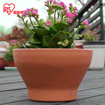 Alice flowerpot wall-mounted resin thickened balcony planting flowers fleshy gardening flowers semi-hanging vegetable pot delivery adhesive hook