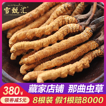 Tibet natural Cordyceps sinensis special Nagqu non Qinghai Yushu Cordyceps fresh authentic 4 roots 1g 2G