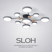 Ceiling lamp living room lamp Nordic lamp round cake combination home macaron simple wooden style flat lamp