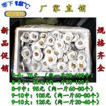 Frozen fresh vermicelli vermicelli scallop 100 Grain box 7-8 specification 2 pieces discount 5 yuan