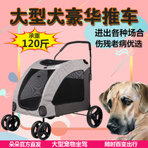 Dodo DODOPET pet stroller Luxury large dog dog stroller Disabled old and sick Outdoor special