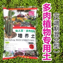 Mixed-type multi-meat plant cactus cultivated soil-granular soil paved with soil