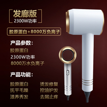 German electric hair dryer household negative ion silent does not hurt hair salon special hair care hot and cold wind speed dry electric blowing tube