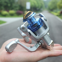 1000 Type of fishing wheel blue fishing wheel spinning wheel non-metallic wheel fishing wheel fishing wire wheel