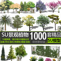 Garden Landscape Plant SU model flowers trees trees flowers shrubs sketchup grass Master Garden