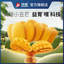 Zhongbao clown mango dried leisure snack fruit dried fruit Dried fruit Preserved fruit Net red snack Mango slices Preserved fruit Candied fruit