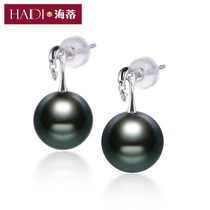 Heidi Jewelry Mole 10-10 5mm selected bright light Tahiti black pearl earrings 18K gold inlaid