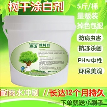 Tree whitening agent tree trunk coated white powder citrus sunscreen whitening agent antifreeze non-lime