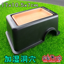 BAO WELN The Miyomiya Cave Wet Cave Shelter From Caves Mane Vigil Lizard Corn Toy Snake Spider scorpion climbing and spotting the cave