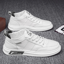 Canvas Korean trendy shoes Mens Shoes Leisure Work Small White 2021 New Board Shoes White Shoes Trend Joker Leisure Winter