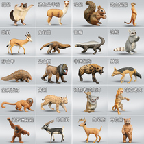Exquisite simulation wild small animal model honey badger tiger lion forest giraffe 3 boys and girls 4 cognitive toys