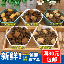 WDJ USA Merrick black gold freeze-dried hunting bird red meat salmon adult dog puppies dog food tasting sub