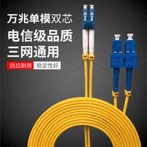 Wave Steel carrier grade LC-LC FC ST SC-SC 10 gigabit single mode dual core fiber jumper Pigtail finished indoor fiber optic cable Optical brazing line 3m5m10 meters 50 meters Various sizes