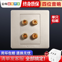 Bull switch socket four-head audio socket audio socket 4-position audio socket panel Gold