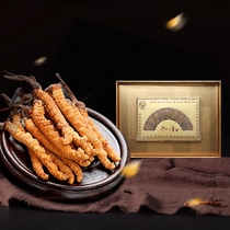 Gift Box] Tibetan Cordyceps god elephant Cordyceps sinensis 10 grams flat food tonic soup cooking tea about 32-34 roots