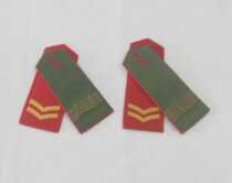 Inventory of old style Wu 99 ice hard epaulettes old shoulder card collection