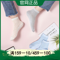 Ladies mesh casual stockings LifeVC Liv home socks spring socks autumn socks delicate cotton