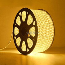 Three majestic extremely light led lamp with 2835 patch living room ceiling concealed trough bright waterproof soft light strip 220V decorative lamp