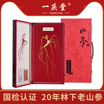 Changbai Mountain Forest Mountain Ginseng Wild Mountain Ginseng High-end Gift Box Northeast Ginseng Ginseng Spun 20 Years Dry