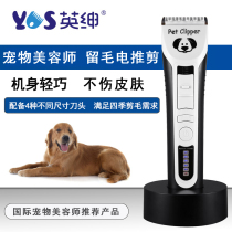British Gentry Professional Pet Electric Push Cut LB-9880 Pooch Cat Shave Hair Dresser Beautician to Remain Mao Tweeper