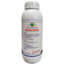 Growth ginger garlic Fast long pull for green onion production of tender green nutrient solution H yellow K leaf coarse anti-inverted vollees to grow dry tips