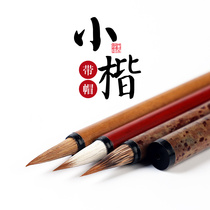 Wenben Lake Wolf Pen Peng Peng Tong Xiao Kai brush set for beginners professional grade full set of Wolf sheep and sheep and small case copy of Chinese painting calligraphy small red hair thin gold body line book Hook pen special trumpet