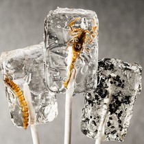 Guo Yun Guo Yun insect creative traditional lollipop scorpion candy worm lollipop is better than starry sky lollipop