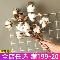 Natural Cotton Pine Nuts Simulation Dry Flower Desktop Cabinet Decoration Pendulum Pieces Shooting Props Anti-Real Wood Cotton Flower Arrangement