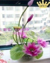 Lotus Material Packs Silkscreen Flower Material Package Silk Stockings Material Bag Send various tutorials Manual DIY