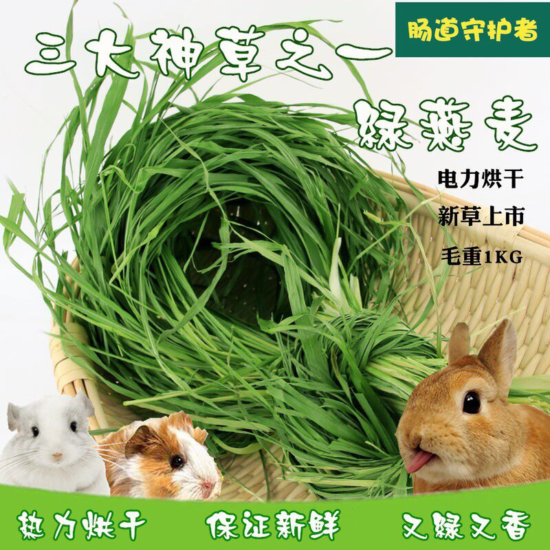 21 years of new drying special green oatmeal wheat straw dried grass rabbit dragon cat guinea pig and other pasta hair conservation intestinal 1000g