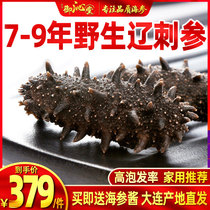 Yuqitang Sea Cucumber Flagship Store 8 Years High-end Dry Ginseng Liaoning Dry Goods Wild Gift Dalian Nine Years