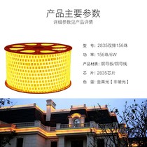 led lamp with gold yellow light white rich and beautiful copper wire anti-vulcanising 2835 double row 156 light yellow light flexible patch soft light belt