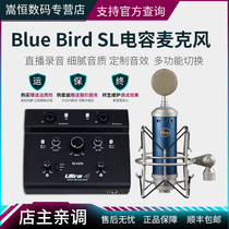 blue bird SL blue bird singing radio station professional condenser microphone sound card set anchor studio large diaphragm microphone live broadcast equipment full set
