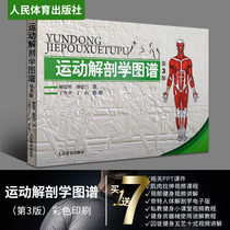 Genuine spot sports anatomy map 3rd edition revision third edition fitness book Human muscle anatomy book motion resolution map peoples sports publishing house medical practical fitness book medical color map