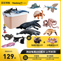 Childrens simulation shark underwater world marine animal biological model set sperm whale killer whale killer whale great white shark toy