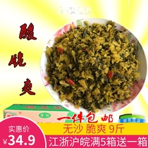 Self-made refreshing snow vegetables farmers 10kg snow potherb farm specialty rice Pickles steamed buns stuffed full box