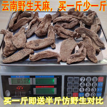 Wild Gastrodin Yunnan Zhaotong Wild Gastrodin special-level Aroma Wild Gastrodin small grass Dam wild gastrodia 500 gr