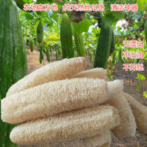 Farmhouse natural soft loofah dishwashing brush pot Bath Bath old dry loofah flesh water melon SAC scrub cloth