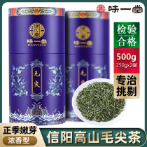 2021 New Tea Maojian Tea Xinyang Original Sprout Green Tea Bulk Green Tea 500g