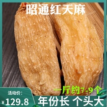 Tianma Chinese medicine Tianma large premium red Tianma Zhaotong winter hemp 500g About 6-8 pieces can be sliced and ground