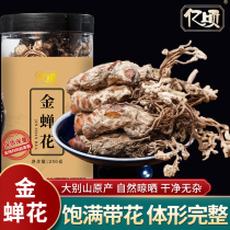 Dabie mountain cicada flower wild cordyceps flower spore powder Bamboo forest cicada know the golden silkworm flower big clump grass 250g premium