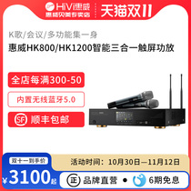 Hivi Swan HK800 multi-function three-in-one K song amplifier fixed resistance conference amplifier with microphone effector