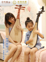 Factory Direct Lehai Pipa Beginner Practice Grade Examination Hardwood pear Pipa DJ11-1 Leihai Pipa