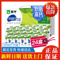 Mengniu milk low fat high calcium 250ml * 24 gift box full box adult student breakfast 2 pieces# XY1M#