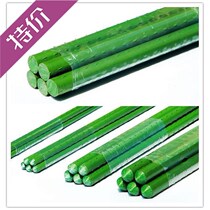 Plant bracket horticulture package plastic tube cucumber tomato climbing vine support Rod plastic pillar support plant growth