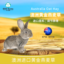 Muguang Forest Golden oat grass Australian wheat rabbit hay guinea pig chinchilla hay pasture 500G