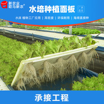 Soilless cultivation equipment hydroponic panel vegetable fish and vegetable symbiosis balcony rooftop Colonization Board floating board floating board