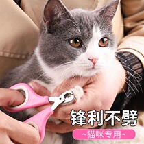 Cat Fingernail Cut Pets Universal Kitty Nails Cut Pets Nail Clippers Cat Fingernail Knife Size Kitty Supplies