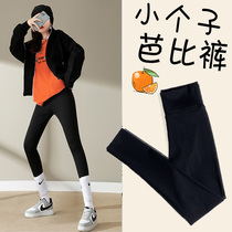 Shark skin beating bottom pants woman tight autumn and winter plus suede slim fit short and small sub 80% 90% Barbie wearing pressure pants